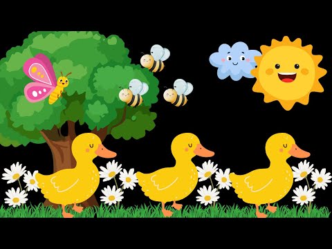 Ducks & Daisies Baby Sensory Video with High Contrast for relaxation and early learning