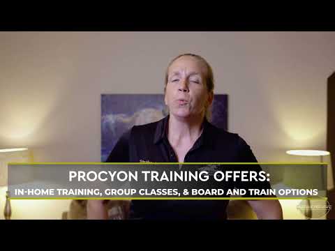 Procyon Training video.