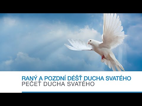 Jan Majer - V moci Ducha 2. část - Raný a pozdní déšť Ducha svatého, Pečeť Ducha svatého