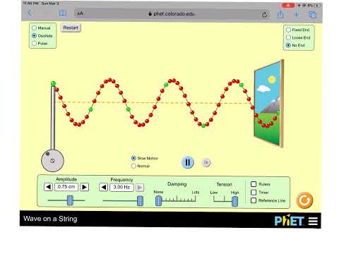 Phet Wave On A String Tutorial Mp4