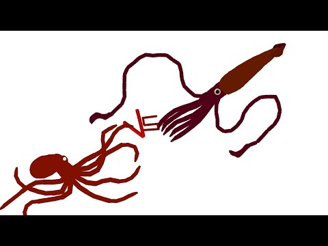 DCBA: Giant Pacific Octopus VS Giant Squid