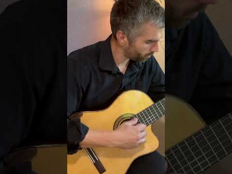 Hans Schmidt  Cr-1 1998 Natural nylon classical acoustic electric image 17