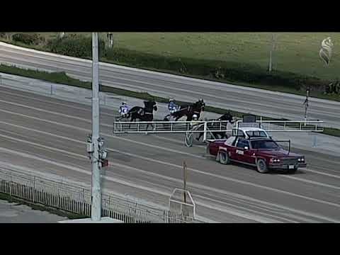 Aversa trotto 9 Marzo 2022 - Prova di qualifica e riqualifica