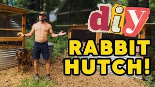 How to Build a Rabbit Hutch: Step-by-Step Guide