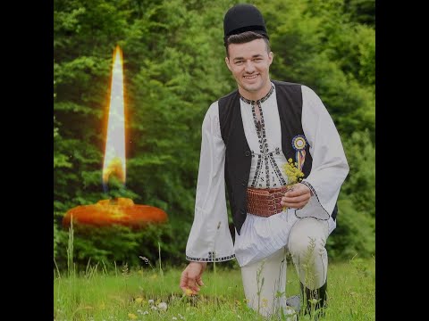 Cantaretul Dumitru Stroie a murit intr-un grav accident rutier