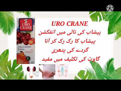 Syrup.URO CRANE  Uses  ( Best treatment Urinary Tract & Uric Acid )