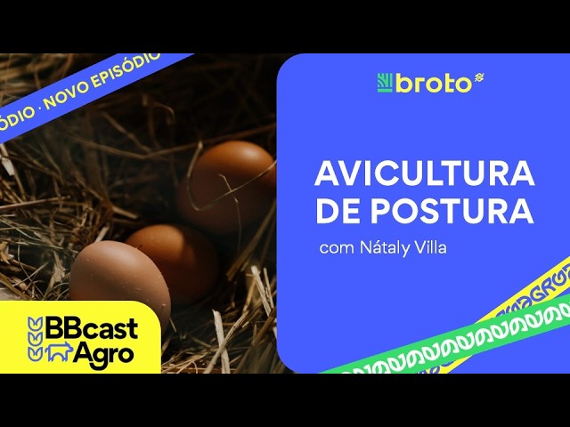 Avicultura de postura: exportações de ovos, preços e custos de produção | BBCast Agro – 03/09/2026