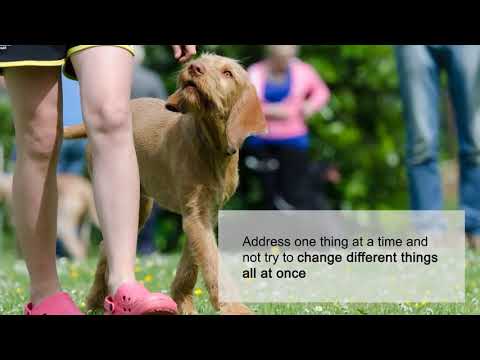 Teaching an Old Dog New Tricks