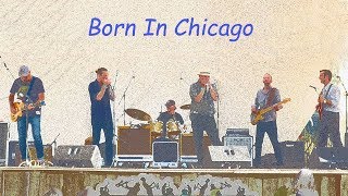 Sherman Doucette & Boogie Patrol - Born In Chicago
