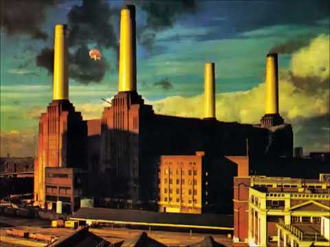 Pink Floyd - Dogs
