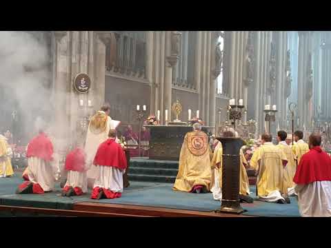 Tantum ergo sacramentum / Kölner Dom 2019 / Fronleichnamsprozession