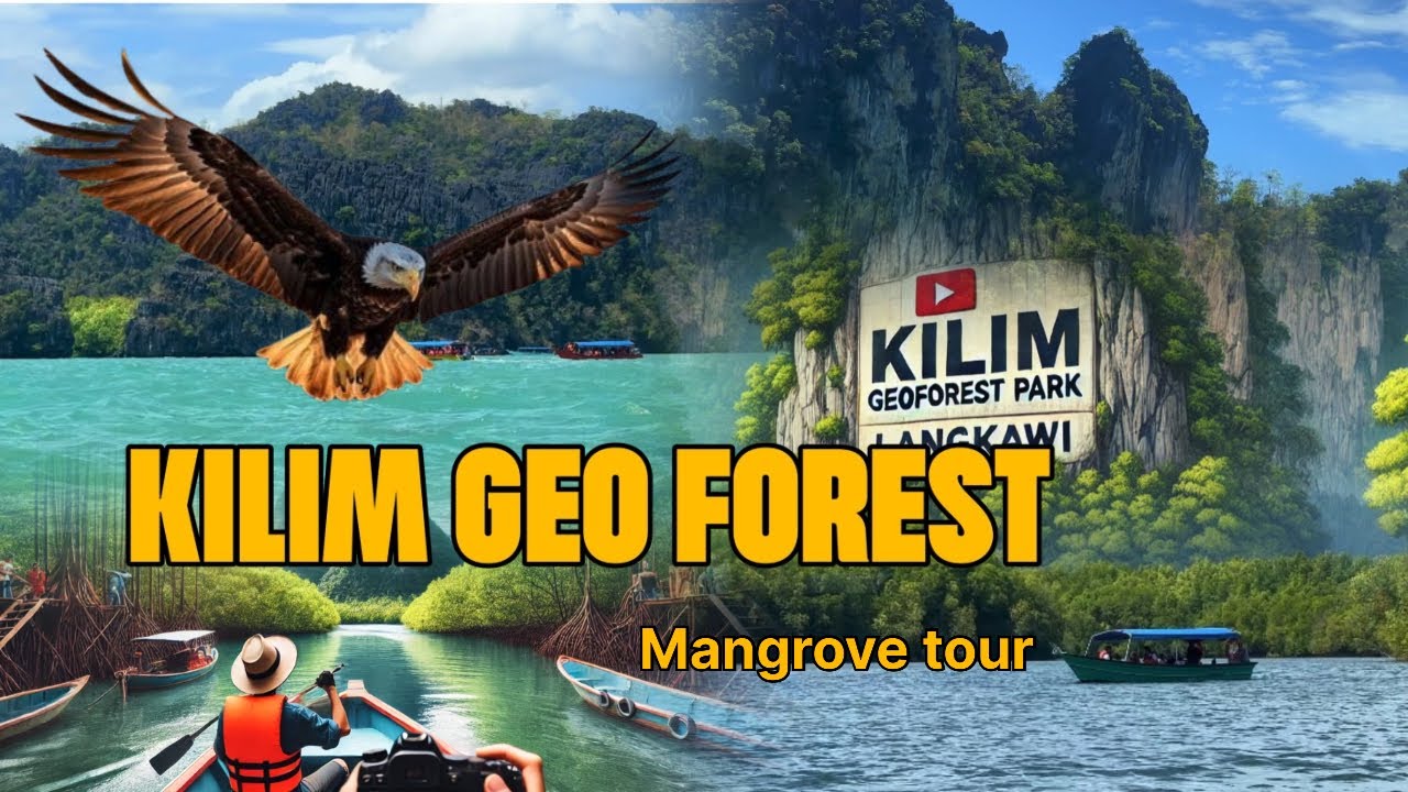 Embark on a captivating virtual journey through the enchanting Kilim Karst Geoforest Park.
