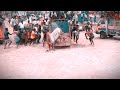 Komban Jallikattu Whatsapp Status Video Tamil