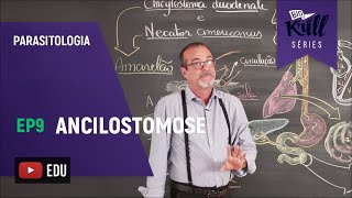 Ancilostomose (Parasitologia - EP 9) | Biokrill Series