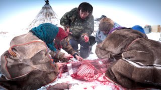 Reindeer Ritual - Raw meat shared by family of Nenet Herders