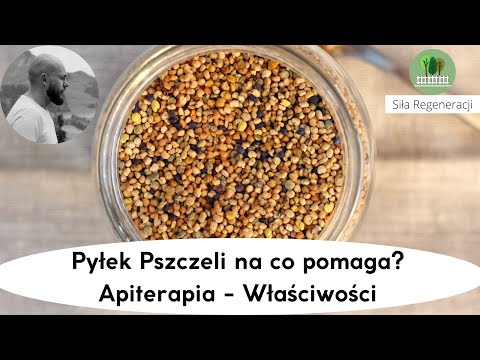 Pyłek pszczeli na co pomaga? - właściwości - Apiterapia
