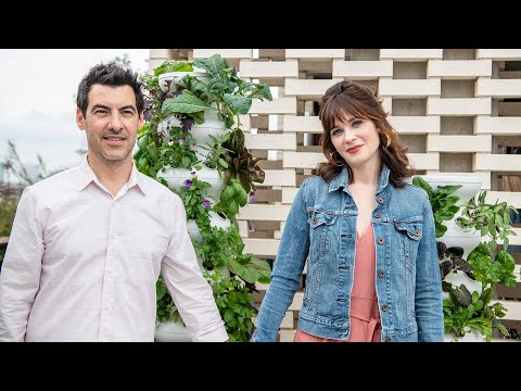 download lagu mp3 mp4 Zooey Deschanel Garden, download lagu Zooey Deschanel Garden gratis, unduh video klip Zooey Deschanel Garden