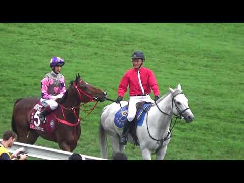 2018 チェアマンズスプリント 入場 ファインニードル