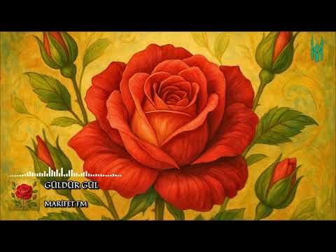 🌹 Resul teri güldür gül. | Güldür Gül | Marifet FM