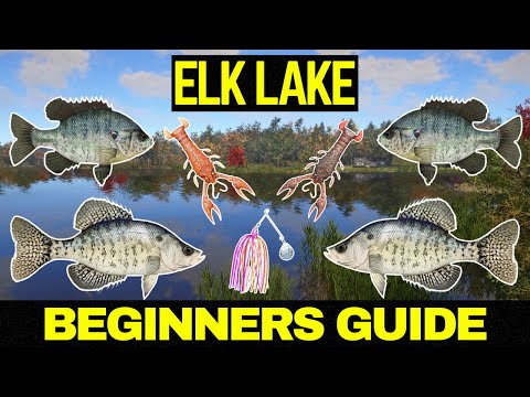 Russian Fishing 4 Beginners Guide (Elk Lake)