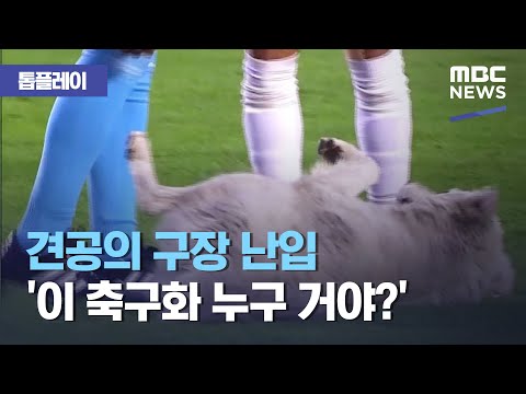 아이콘