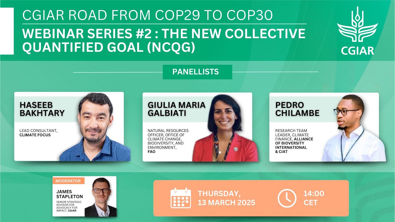 CGIAR Road from COP29 to COP30 Webinar Series #2: The New Collective Quantified Goal (NCQG)