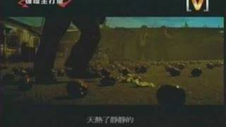 Cheer Chen - Lying in your wardrobe