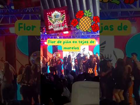 Bailando Flor de piña con banda perrona - Tejas de morelos 2024 #oaxaca #banda #fiesta