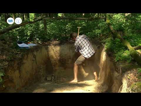 TUM Bodenkunde: Profilansprache nach KA5