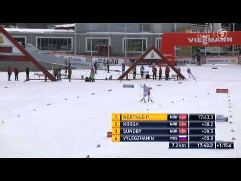 DEU \ 2012-2013 FIS World Cup Cross-Country 13 Falun Men's 15 km F Pursuit (1 of 3)