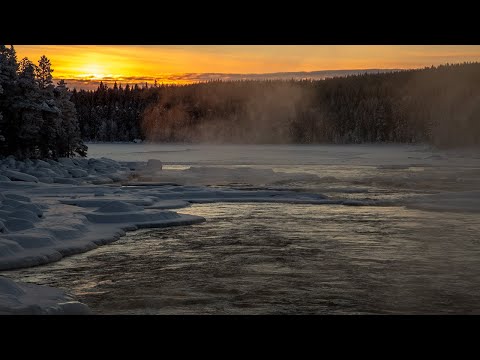 Vindelälven , Västerbotten