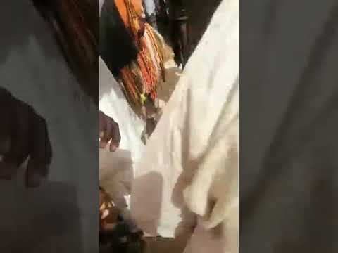 fulani festival... the king of Shadi republic of niger