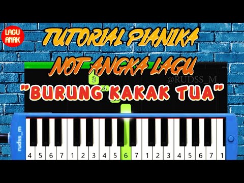 TUTORIAL PIANIKA LAGU " BURUNG KAKAK TUA " + BACKING TRACK / KARAOKE