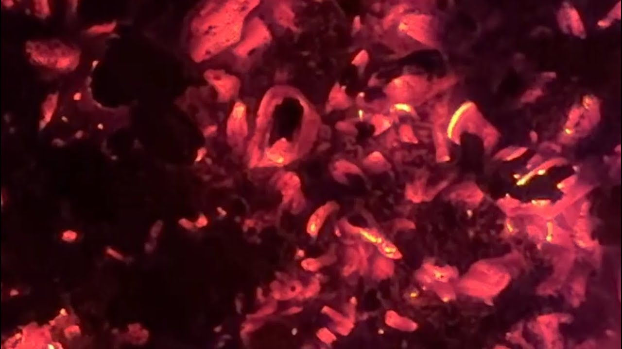 Industrialistic — Official Trailer