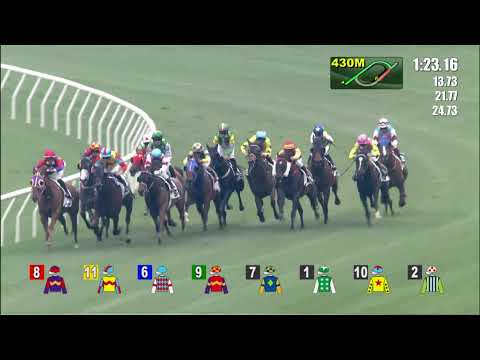 1/1/2022 (303) Darci Joy - Matthew Chadwick