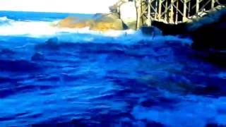 Wedding Cake Island - Midnight Oil