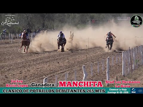 MANCHITA (La Rioja) Hipodromo El Quebrachal Chamical La Rioja - 16-08-2026