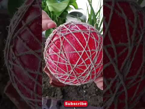 Идея домашнего декора из джута DIY Идеи для рукоделия из джутовой веревки Джутовый домашний декор ручной работы из мешковины