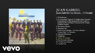 Juan Gabriel - Adiós al Amigo (Cover Audio)