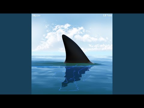 Jay-Z (feat. Lil Van)