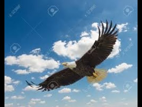 My America  " United We Stand "