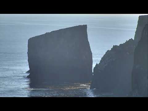 Anacapa Island Cove - Channel Islands National Park Cam 09-27-2017 09:03:37 - 10:03:23