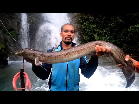 Part 1 !! Ang Pakikipaglaban sa Malaking PALOS or EEL or KASILI!! Ang bagong Spot