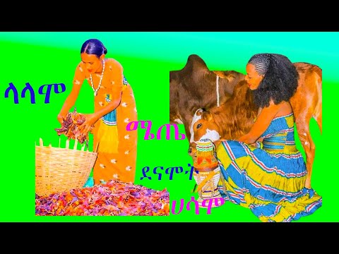 #ኑሪ ሊሬ ላላሞ ሜጤ ደናሞት ሀሳሞ Best Music  ❤️❤️❤️❤️!