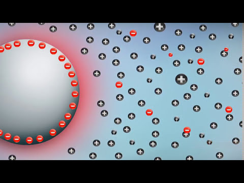 Electrical Double Layer