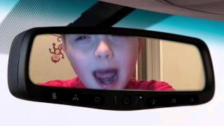 "The Poopy Doopy Song" Fan Video