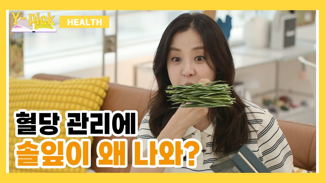 혈당 관리에 솔잎이 왜 나와? | Y-Pick 4-2화