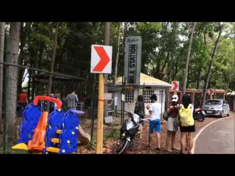 Lambug Beach - Badian Cebu, Ph