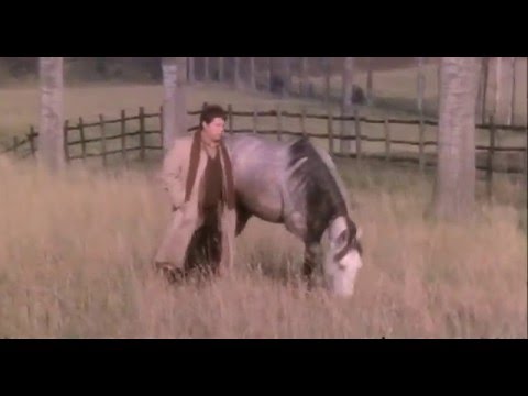 Per vivere meglio divertitevi con noi