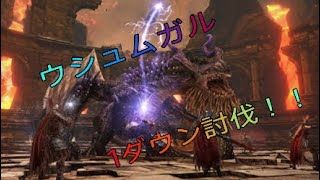 [再編集版] DDON ウシュムガル1ダウン討伐できました！！